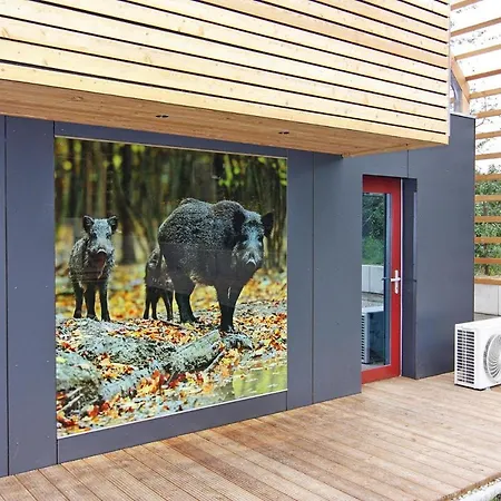 Holiday home Chalet Wendorf - Dms01102E-F